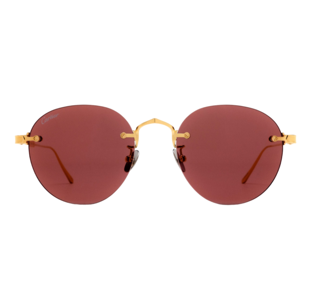 CARTIER - CT0393S
