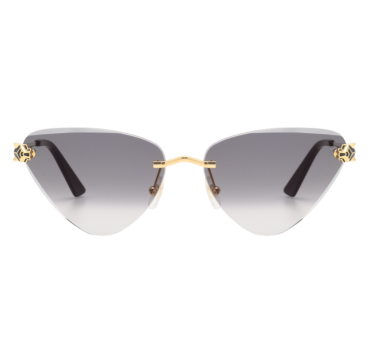 CARTIER - CT0399S