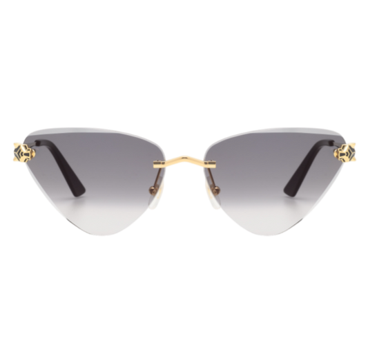 CARTIER - CT0399S