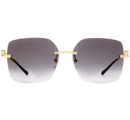 CARTIER  -  CT0359S