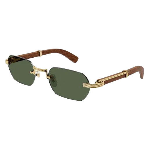 CARTIER  -  CT0362S  3 Colorazioni