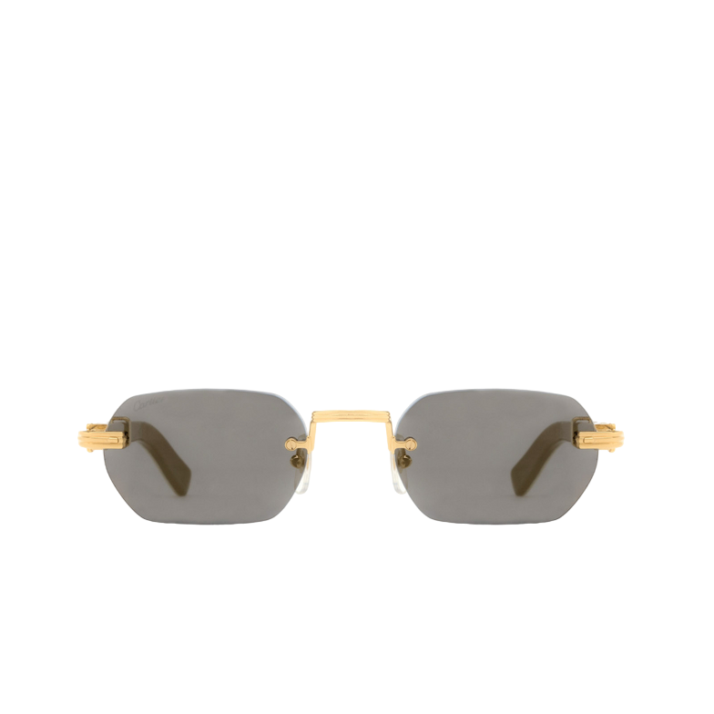CARTIER  -  CT0362S  3 Colorazioni